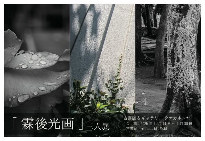 こんにちは
タナカホンヤ開店してます
本日から展示です
21時まで

『霖後光画』　“Ringo Koga”
新妻 大・ヤベトウシ・板津 薪 三人展

営業日 14(金) 15(土) 16(日)
　　　 21(金) 22(土) 23(日) 24(月・祝)
　　　 28(金)29(土) 30(日)
営業時間 金曜日13:00〜21:00
　　　　 土/日/祝日12:00〜20:00