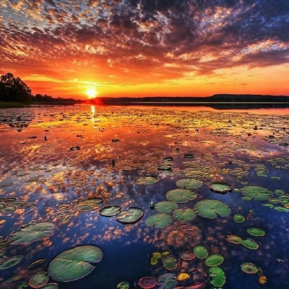 I thank Christ Jesus our Lord, who has given me strength, that he considered me trustworthy, appointing me to his service. ~ 1 Timothy 1:12