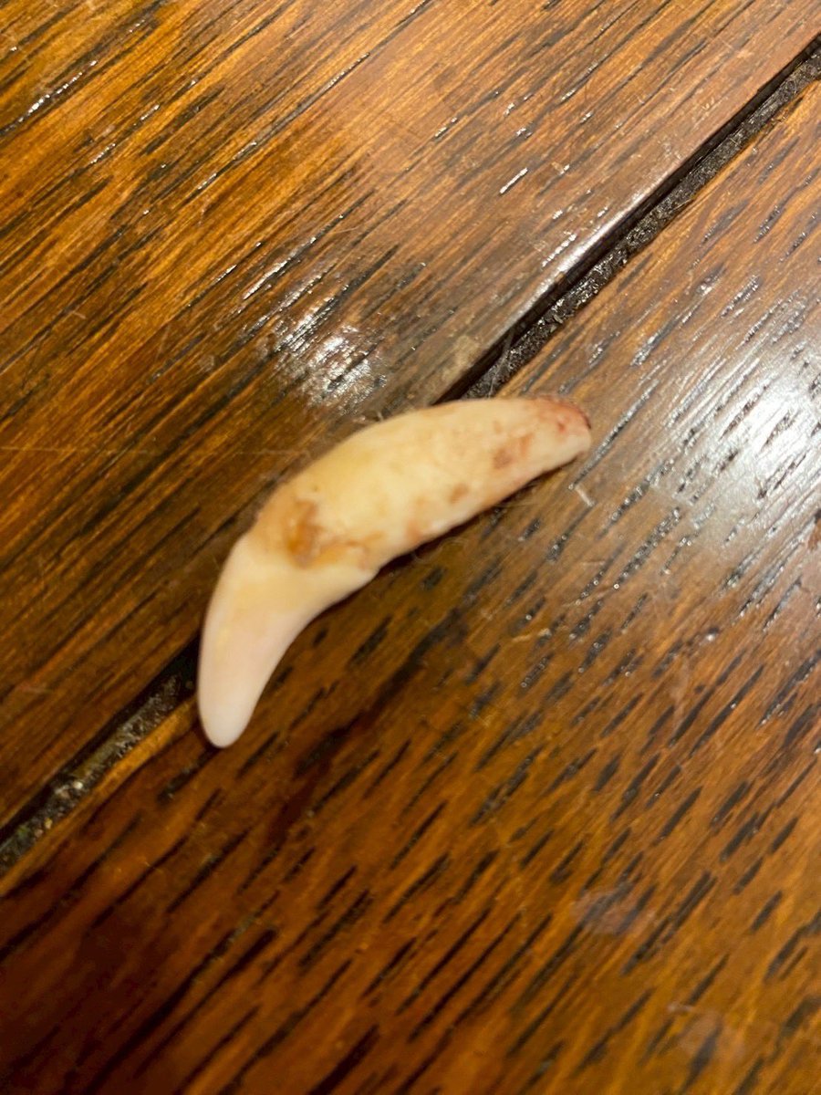 目には目を歯には歯を