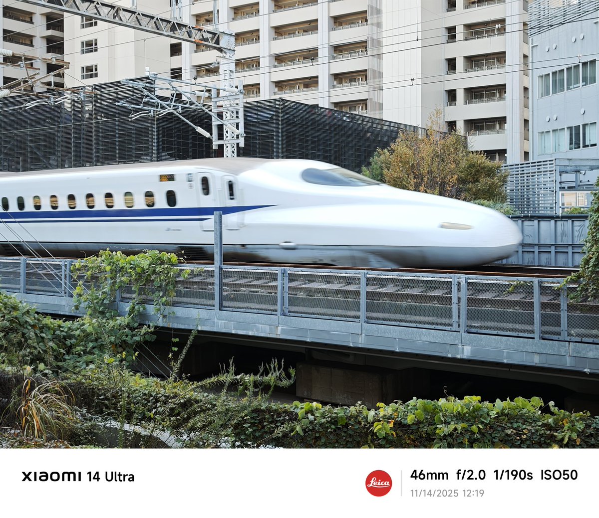 きんちゃん きんちゃん(公式)/Kinchan 3D Designer 🇯🇵🇲🇾🐢🍮🐷 (@kinchan1110