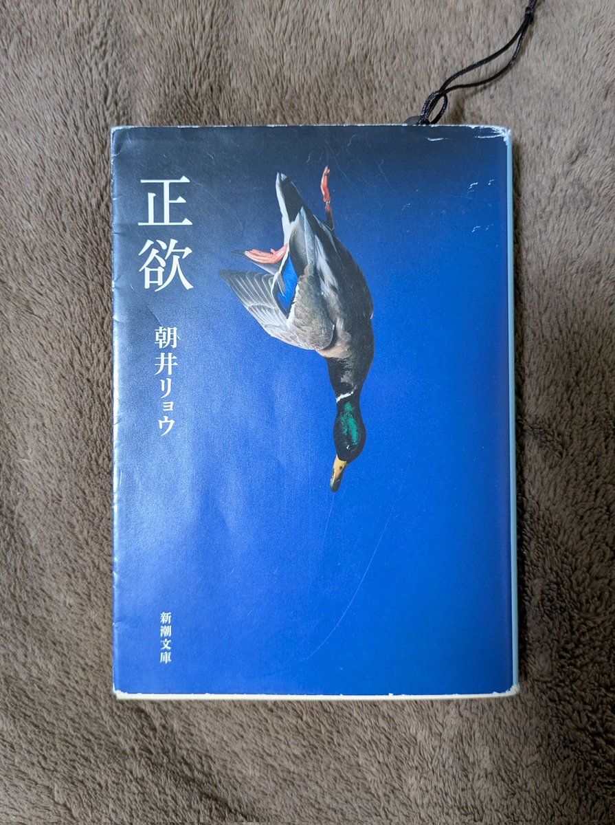 正欲　朝井リョウ
#読書
#読書日記 
#読書記録
#読書好き 
#読書好きな人と繋がりたい