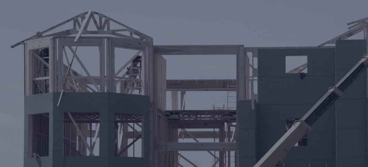 Thomson Geer tweet media