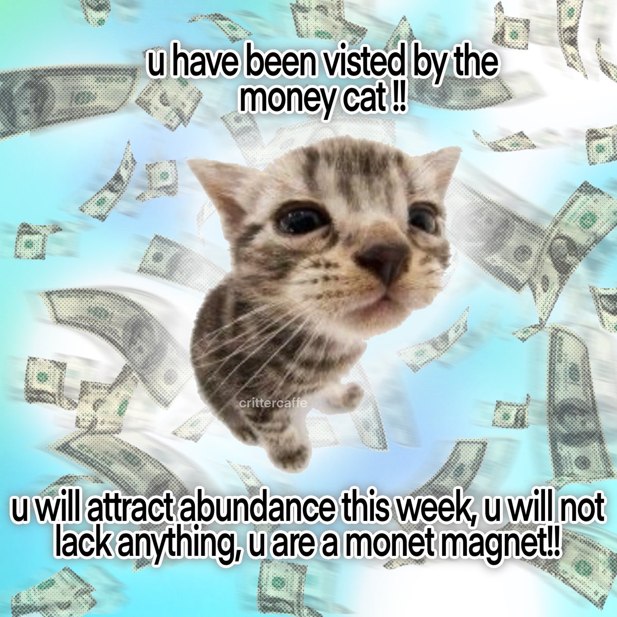 crittercaffe's tweet image. friday manifestation!