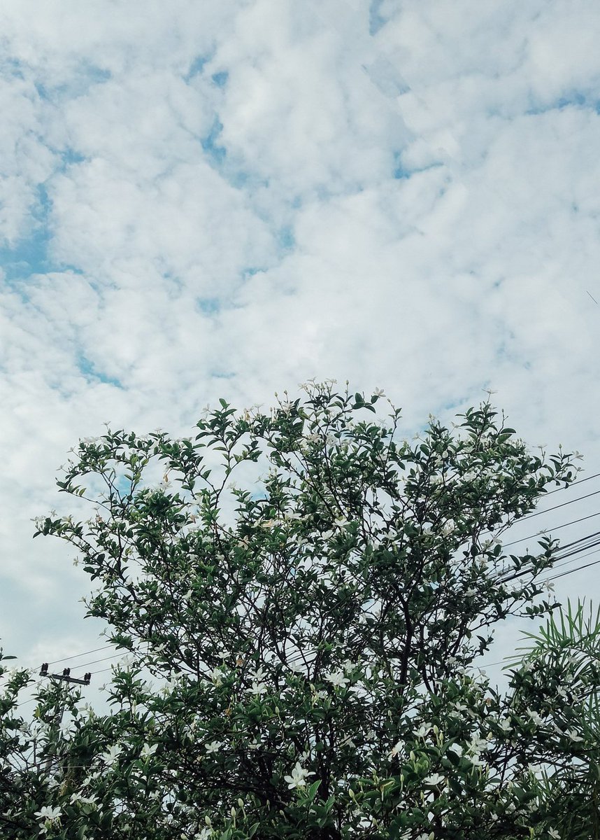 mhmdbdrfq's tweet image. Sky is giving main character energy.

#MainCharacterEnergy #SkyVibes #Aesthetic #Nature #NaturePhotography .