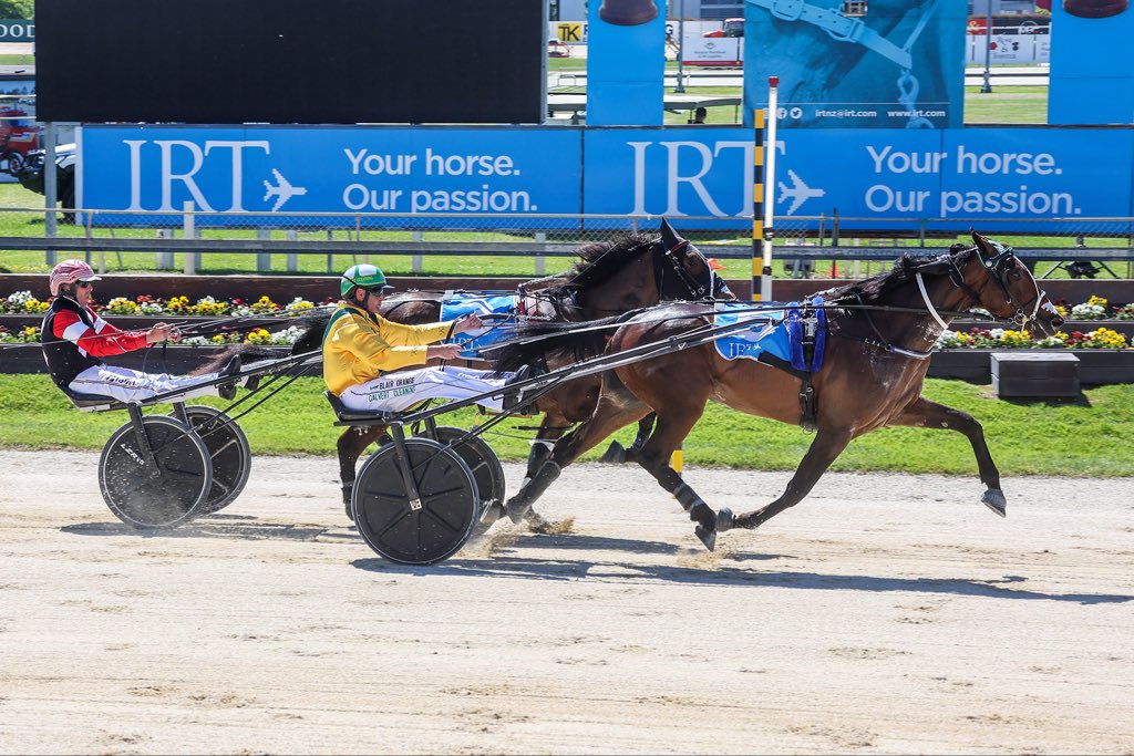 NZ Sires’ Stakes Board tweet media