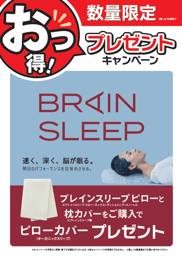 なくなり次第終了！ 脳が眠るまくら『ブレインスリープピロー』と専用