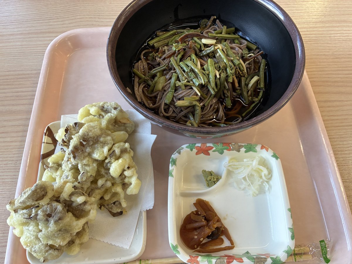_ma_to's tweet photo. 下山後に山菜そばと舞茸天を食べてめちゃくちゃ景色の良いビジターセンターと温泉へ https://t.co/aX1J5DNGh3