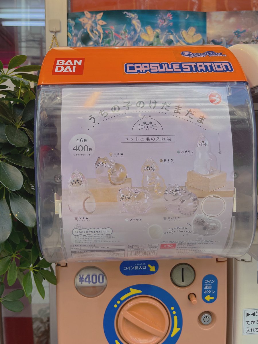 猫飼い必需品(?)の うちの子けだまだま 再販もやっと来ました🐈🐾