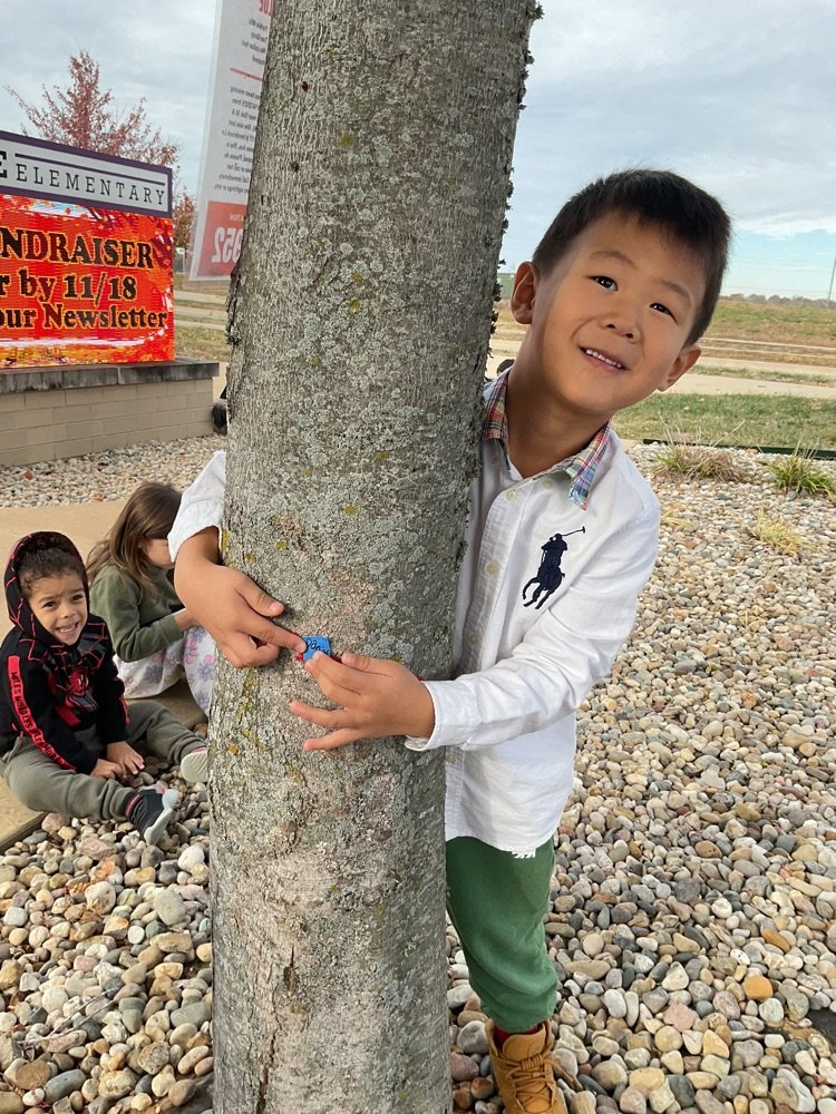 Pre-K students are exploring trees and today we took our learning outdoors to measure the circumference of tree trunks. Students made predictions using yarn and then tested their guesses to see how close they were—hands-on learning at its best! #19EveryStudent #19WESPride