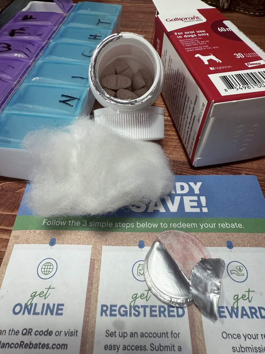 Shallow Phatgal tweet media