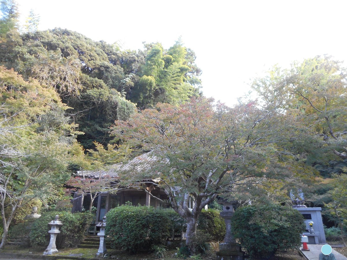 kaijoryo's tweet photo. 先日の土曜日デイケアです。シチューを作りました。
そして、葉っぱたちが頬を赤らめる時期になったので、みんなで観に行きましたよ。 https://t.co/Io83kaHUVM