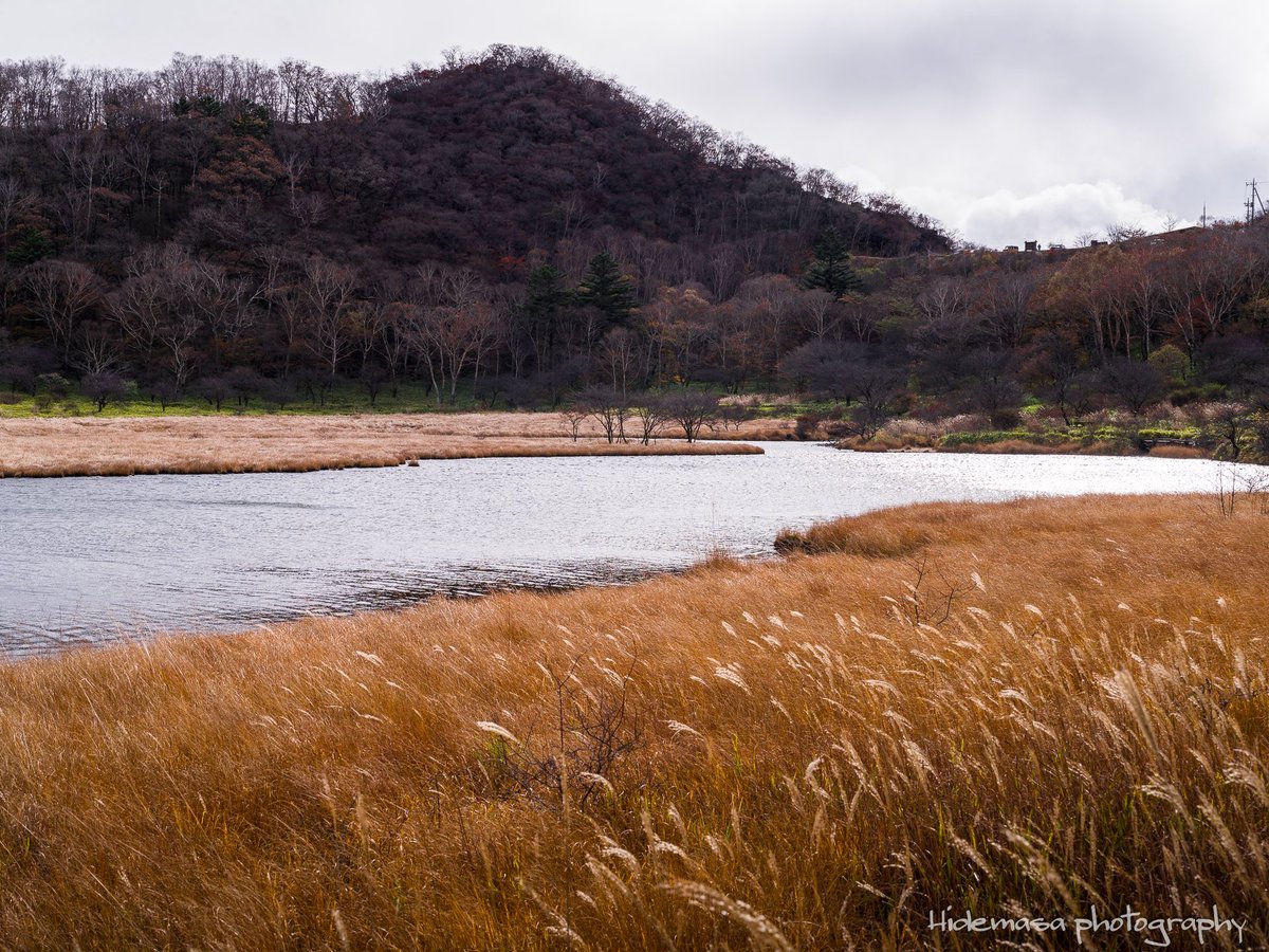 Hi_DesignFocus's tweet image. 覚満淵の紅葉

[2025.11.1]

#赤城山 
#紅葉 🍁
#ぐんま応援びと
#ぐんまの風景