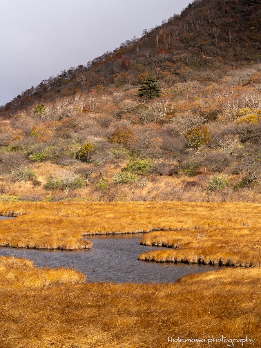 Hi_DesignFocus's tweet image. 覚満淵の紅葉

[2025.11.1]

#赤城山 
#紅葉 🍁
#ぐんま応援びと
#ぐんまの風景