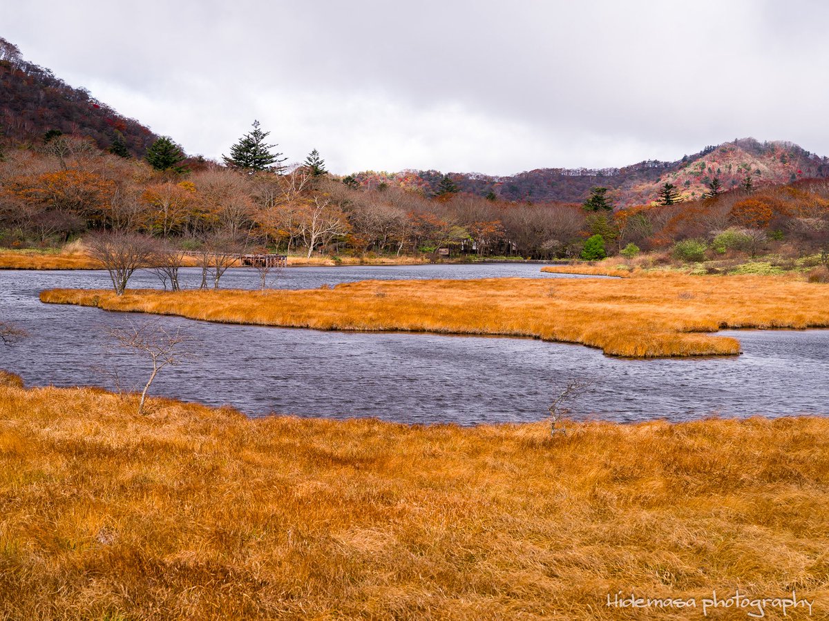 Hi_DesignFocus's tweet image. 覚満淵の紅葉

[2025.11.1]

#赤城山 
#紅葉 🍁
#ぐんま応援びと
#ぐんまの風景