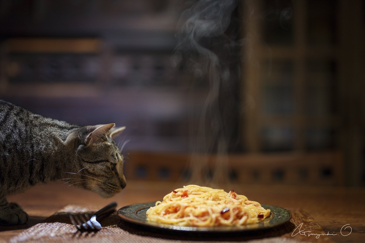 一週間、毎食パスタばかり食べてたどり着いたスパゲッティアラビアータ

猫舌でも熱々のうちに食べるのがおすすめ