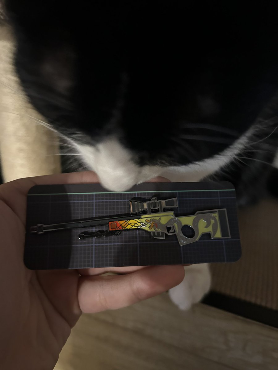 Bang ‼️‼️‼️

1 Dragon lore Pin Unboxed in the first 2 boxes, 3 more to go

How many more can we unbox?