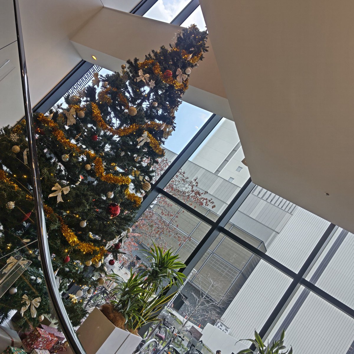 seiryufan's tweet photo. 朝から～栄光の虎道～観てきた🐯
写真はパンフレットと公開記念胴上げステッカー
パワーをもらったので土日の秋期試験頑張ります❗️✊ https://t.co/caCEciLwt3