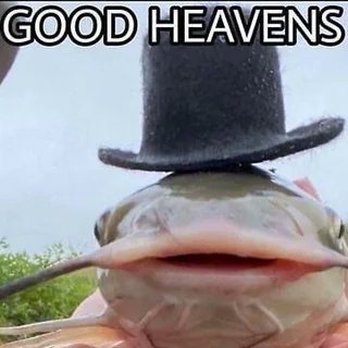 cranaticberry's tweet image. Holy carp dude I think I exist