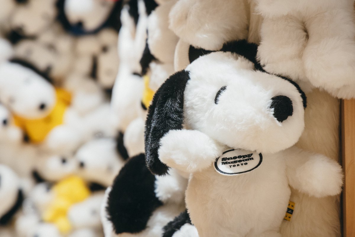 POWER UP! SNOOPY MUSEUM TOKYO スヌーピー・ぬいぐるみウォール