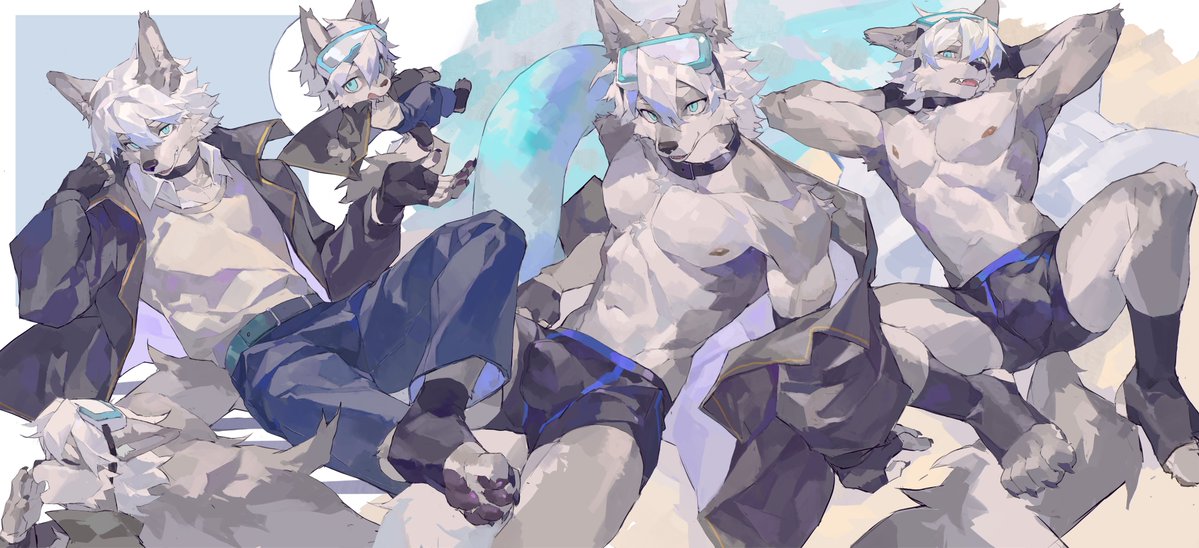 我们需要更多齐尔👍