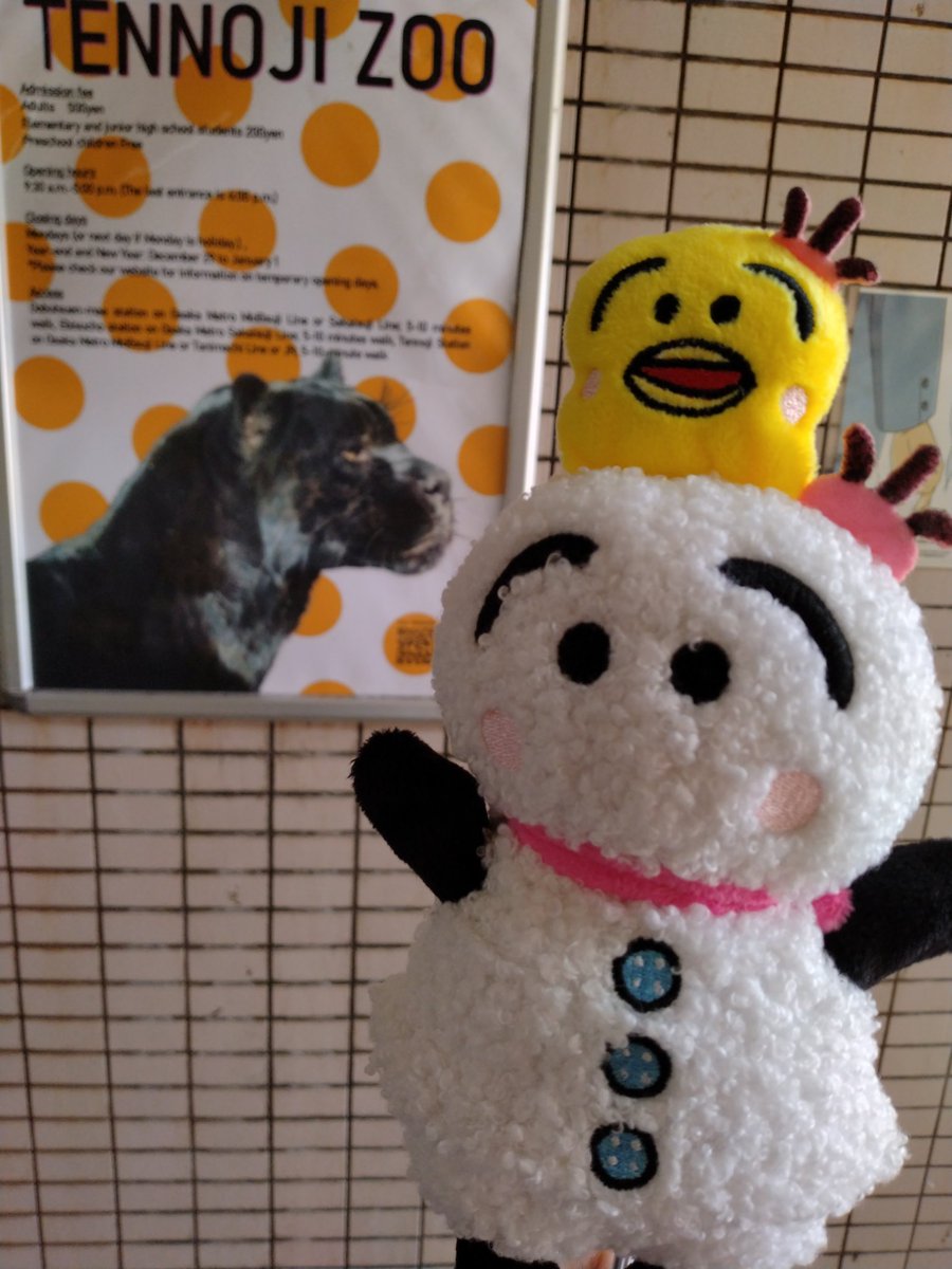 ジャンジャン横丁の高架下で、てるる子ちんとジャガーの小春ちん