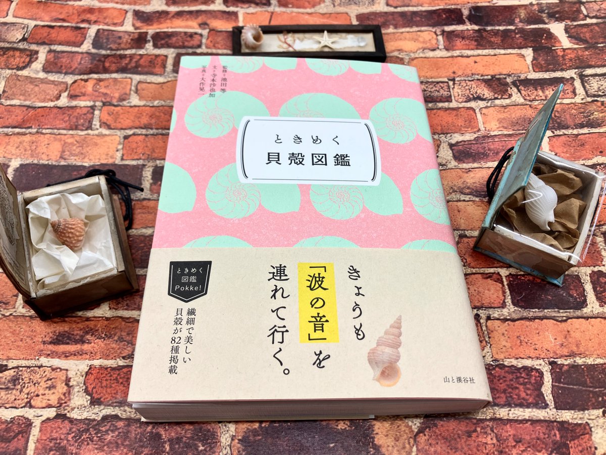 sayoko:追憶の蒐集 (@yoluko) / Posts / X
