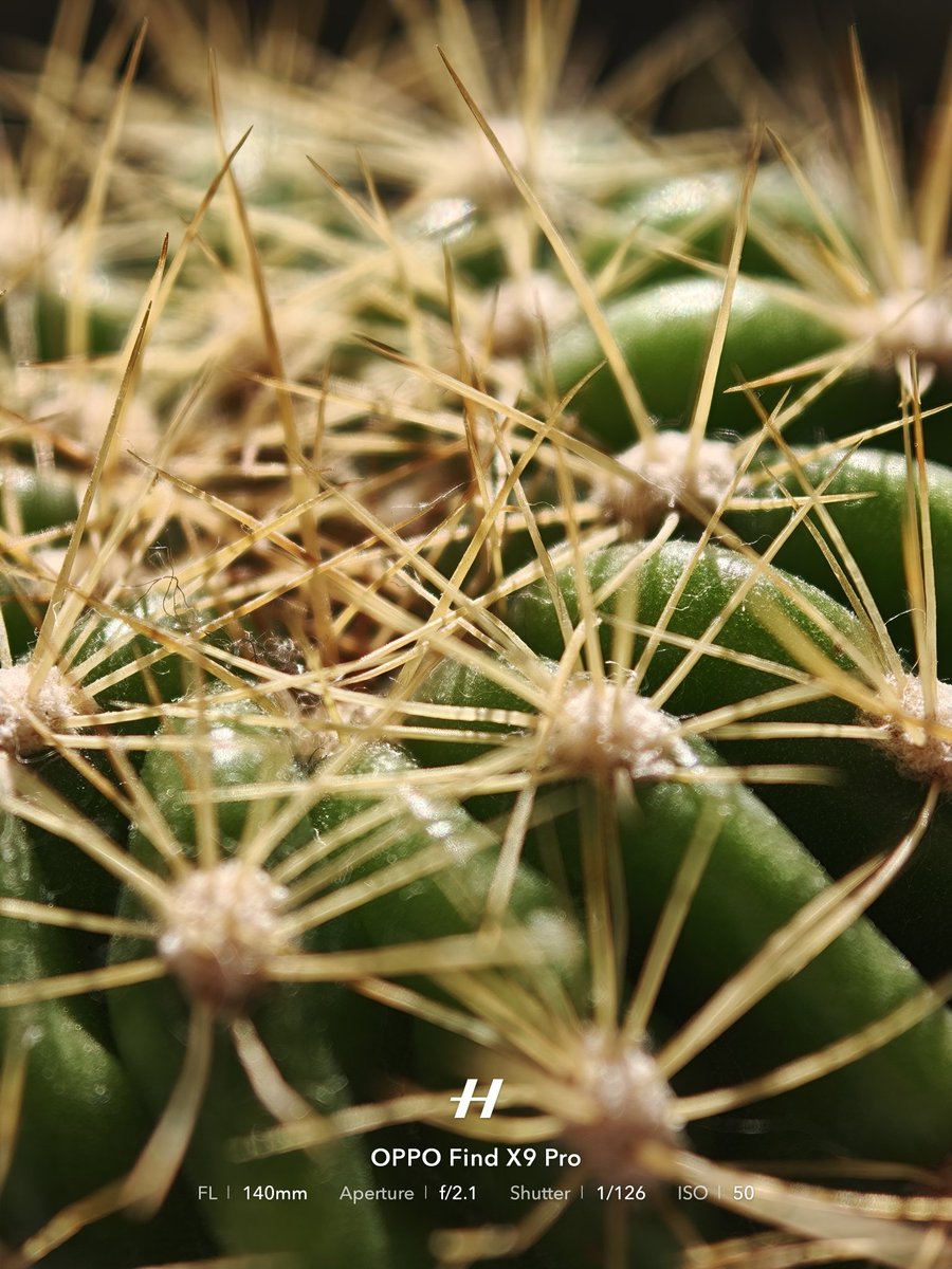 壁紙チックな写真で好き🫶