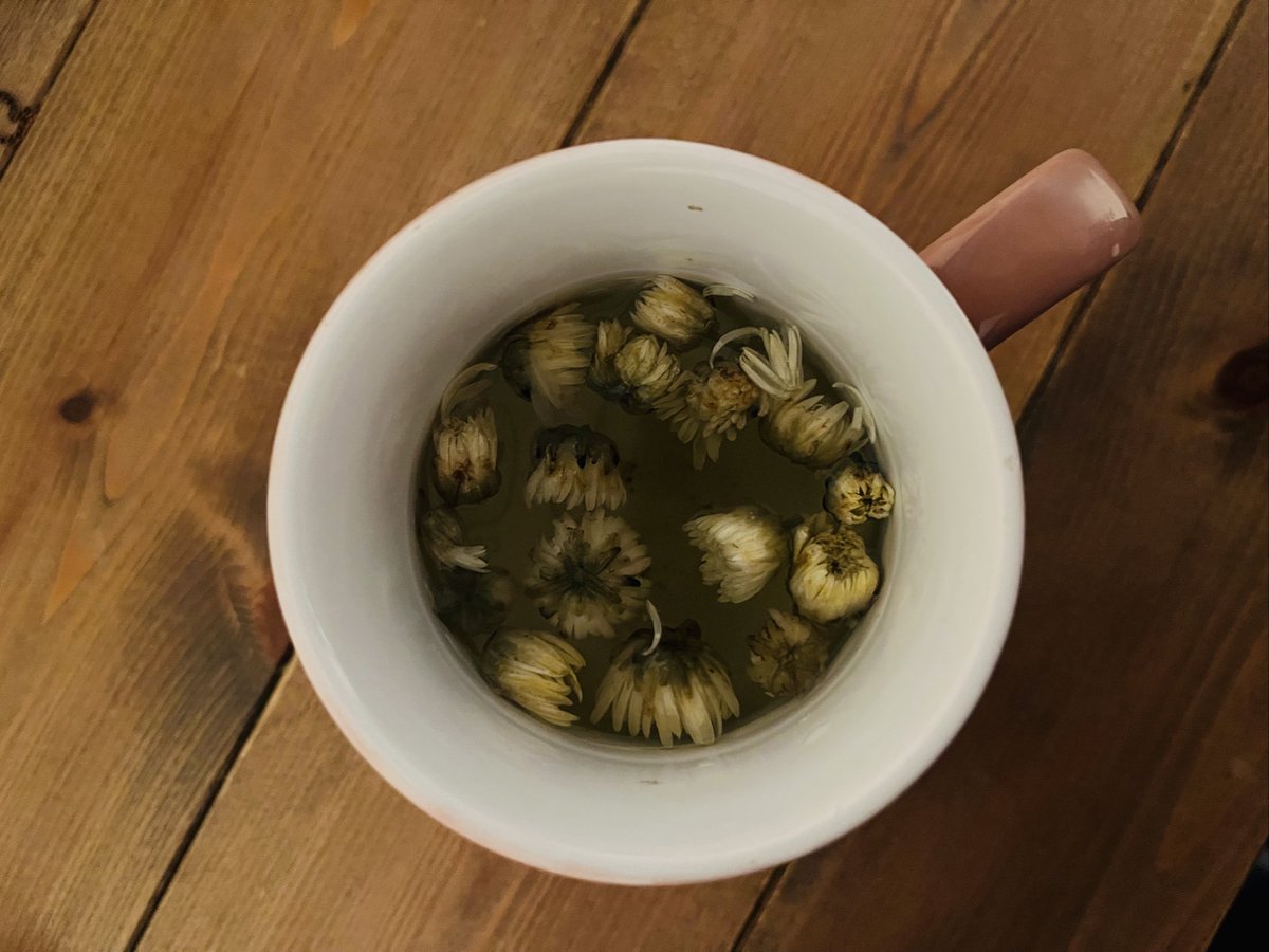 cocona_pms184's tweet image. カモミールティーは
ほっと心を落ち着かせてくれる
効果のあるお茶です＊.°

私は、ティーバックより
お花の形が保たれているのが好き

なぜだか、そっちの方が
より効果を感じる気がします。

生理前や生理中だけでなく
日常的にも
癒してくれる
大好きなハーブティー♡
#pmdd
#pms
#生理痛