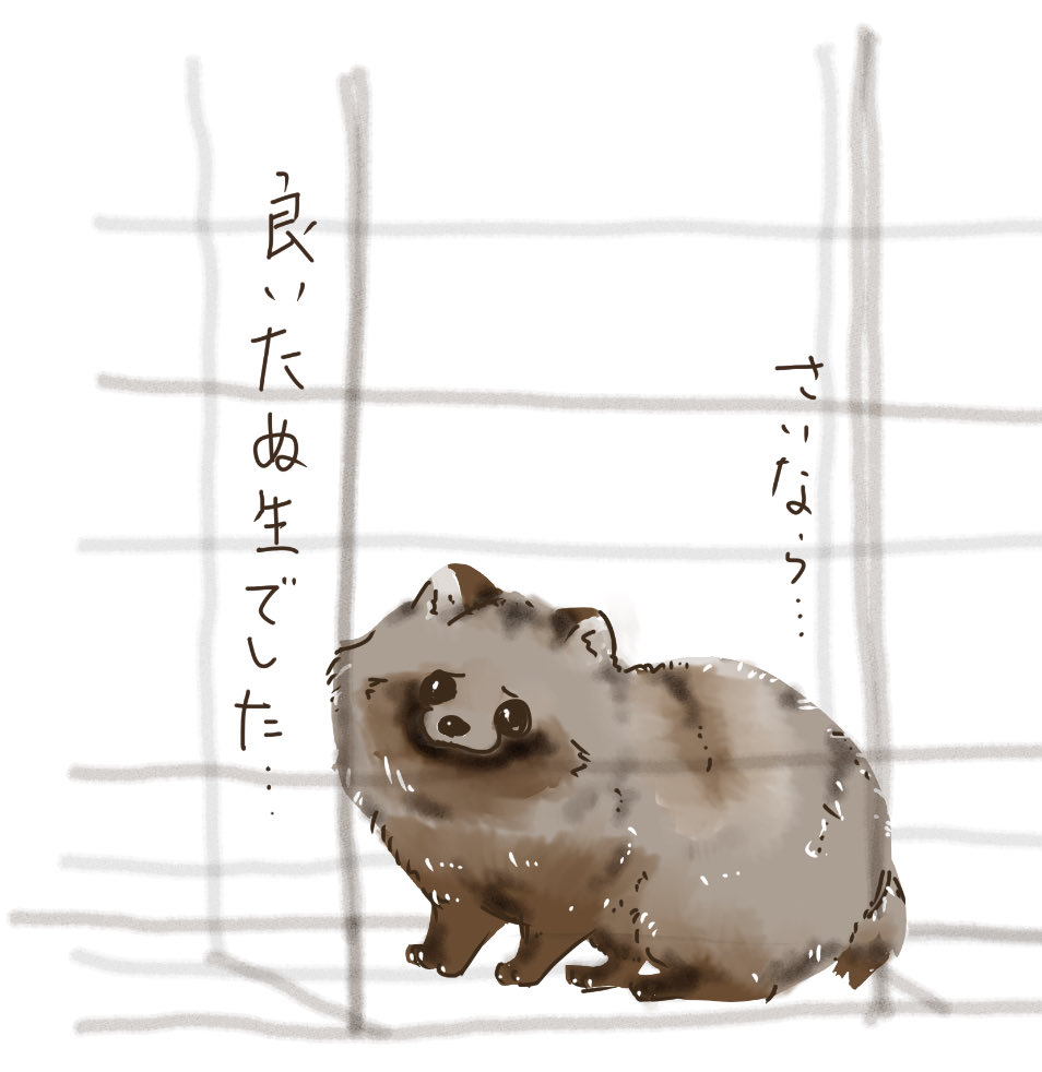 no_mofu_no_life's tweet image. 婆「まーたおめぇ！！！」