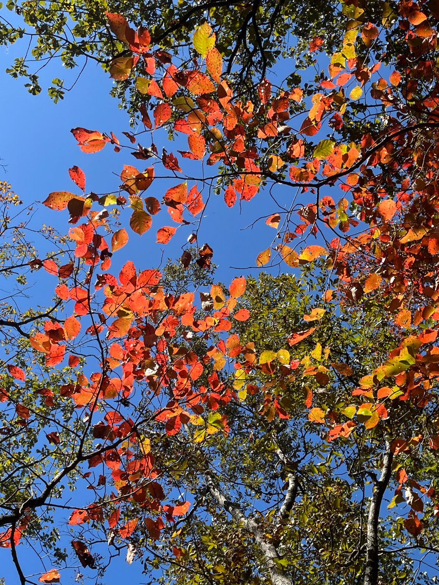 WeeklyComedy's tweet image. 