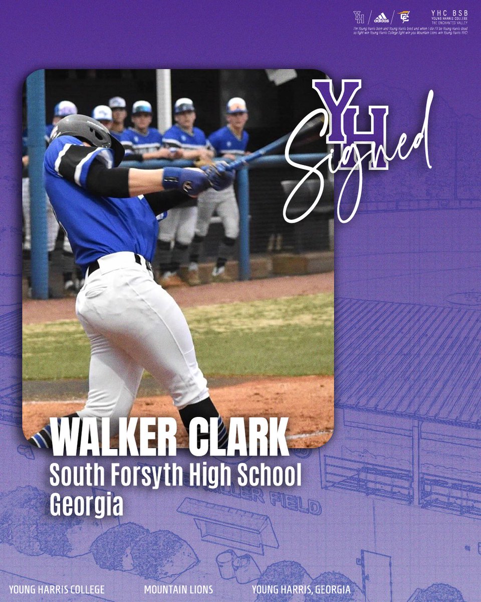 YHC Baseball tweet media