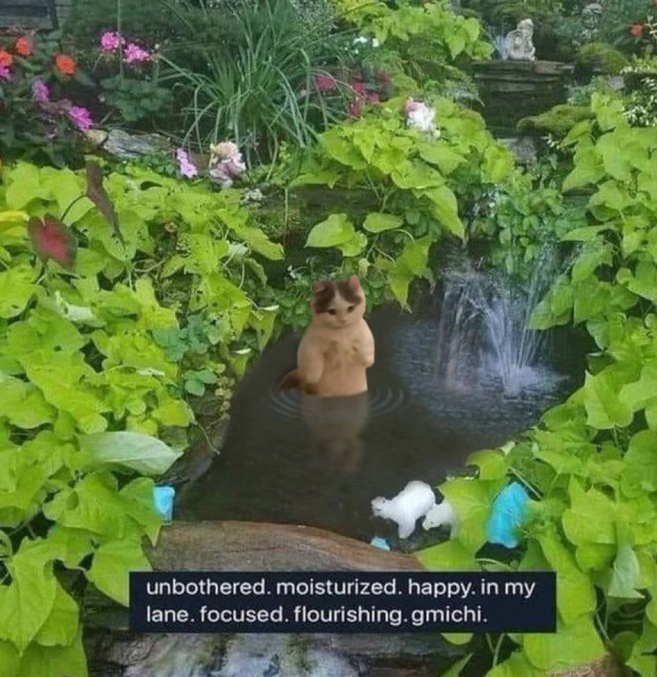 jex_crypto's tweet image. michillin and unbothered

gmichi