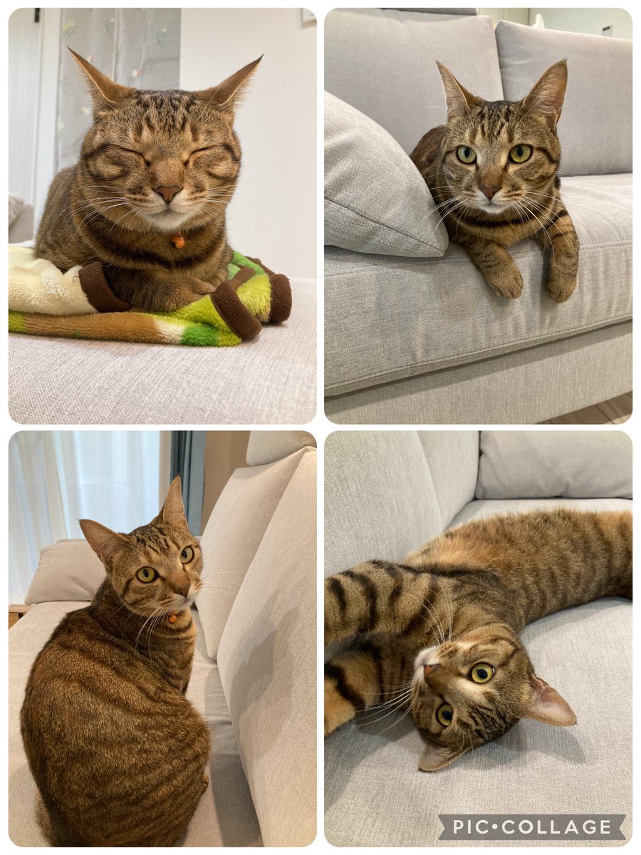 のぶちゃん (@Zxn9LICKUfwObuY) / Posts / X