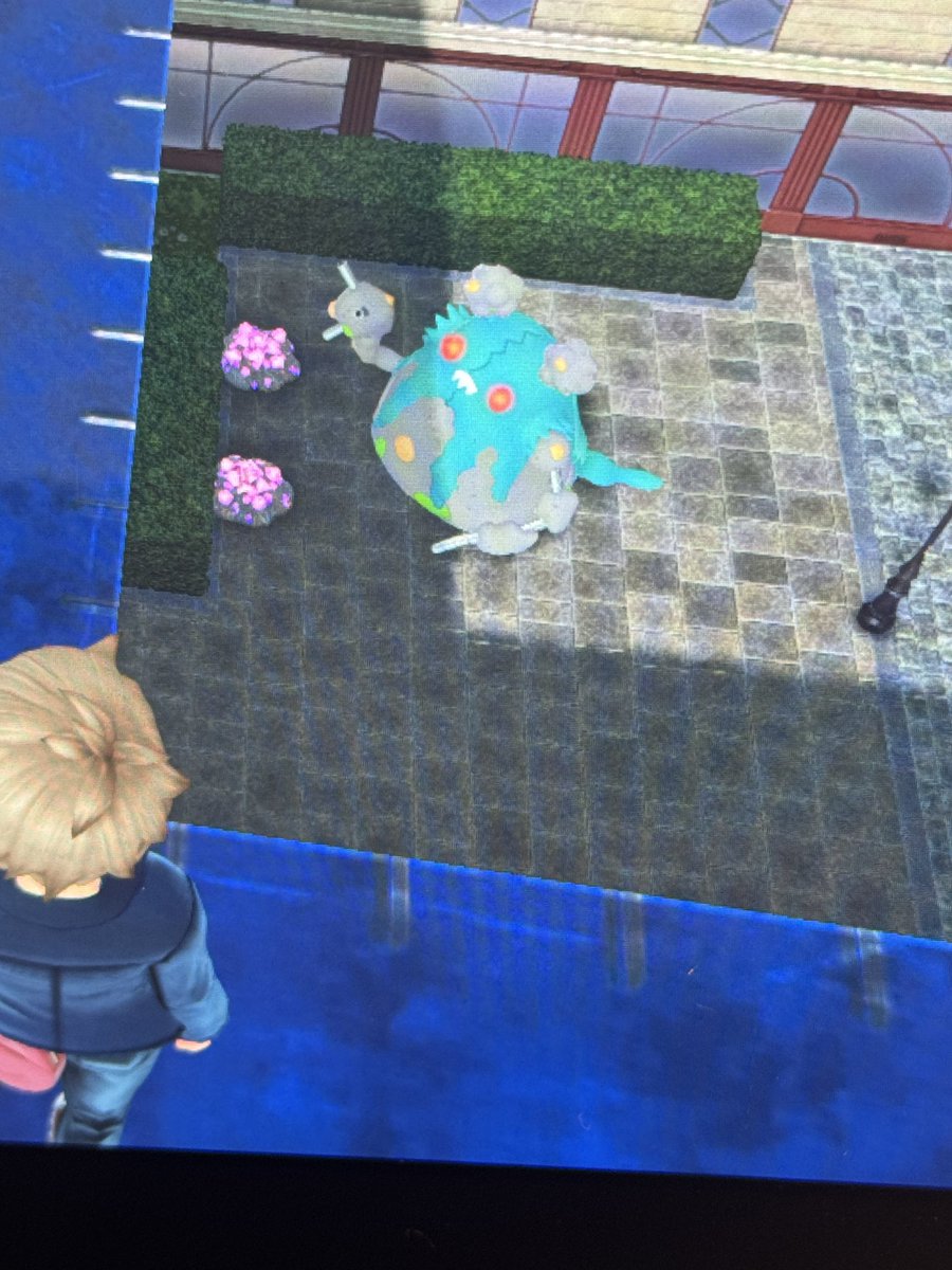 #レジェンズZA
色親分ダストダスいた(*´ω`*)