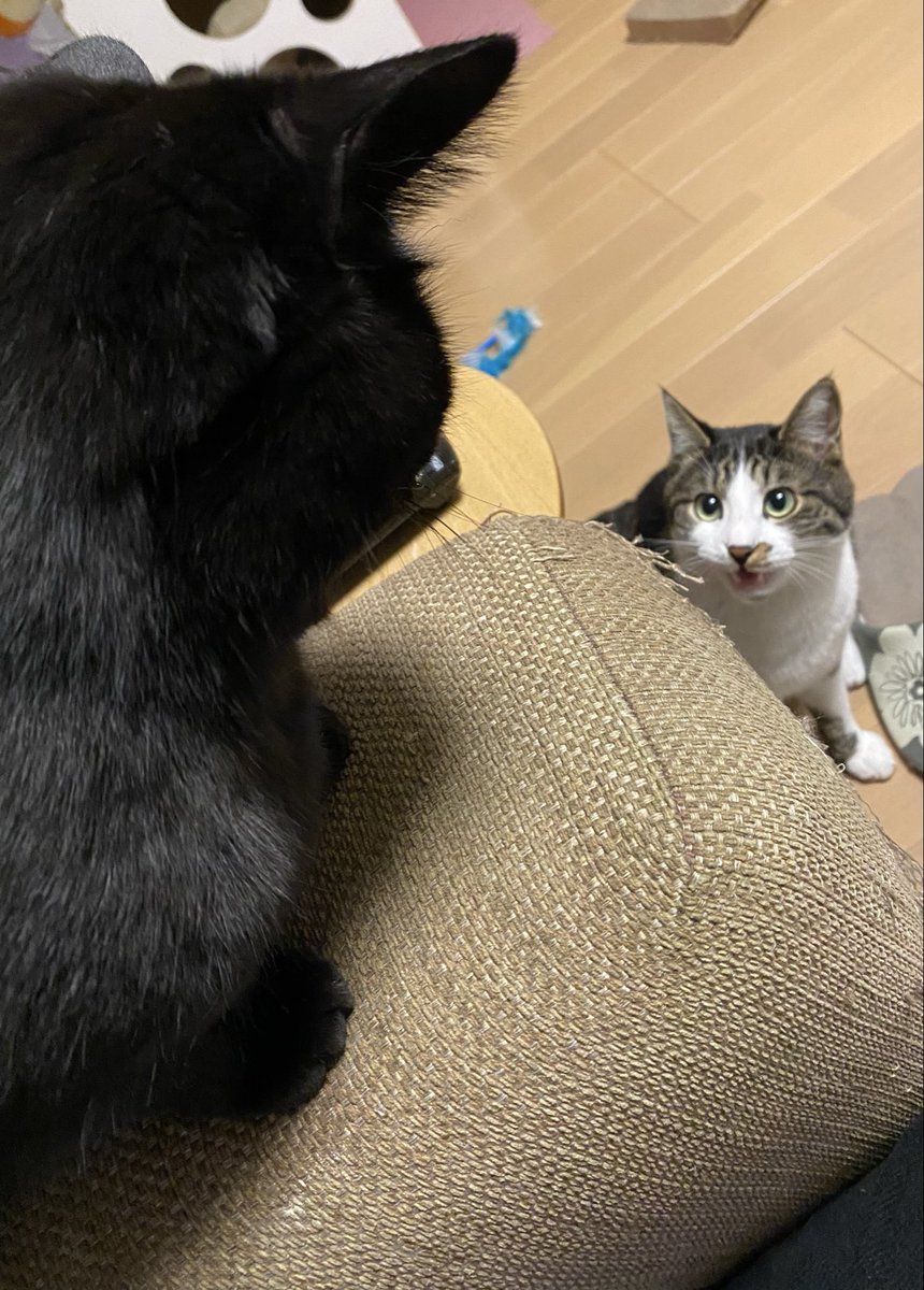 張り詰めた空気🧐