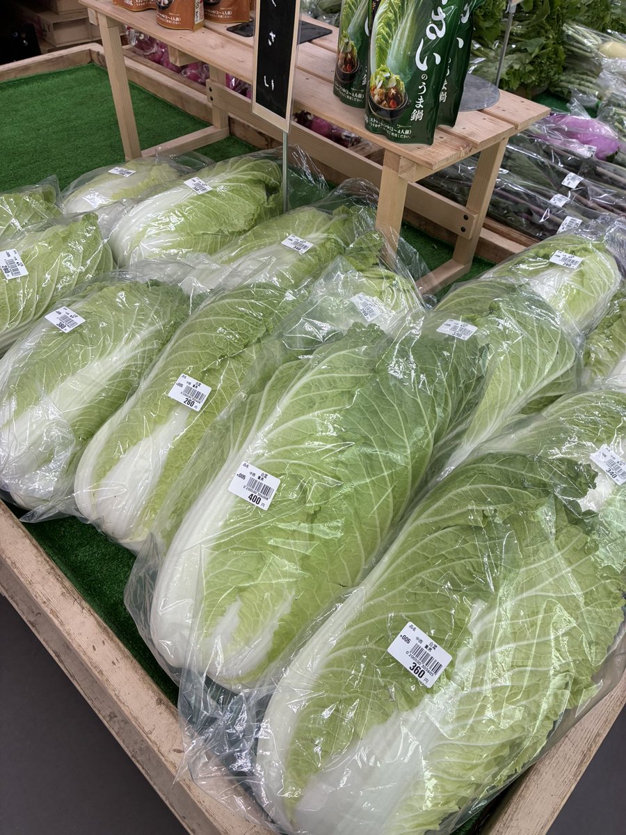 おまとめ専用　フェーブ　8点　18個 おはようございます🌞 本日は八王子産の白菜、かぶ、ブロッコリー