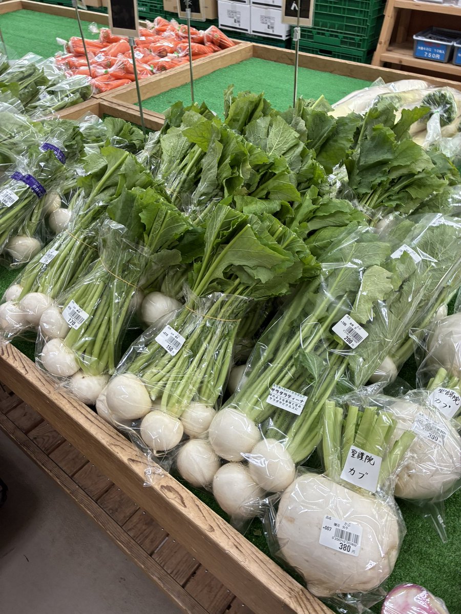 おはようございます🌞 本日は八王子産の白菜、かぶ、ブロッコリー