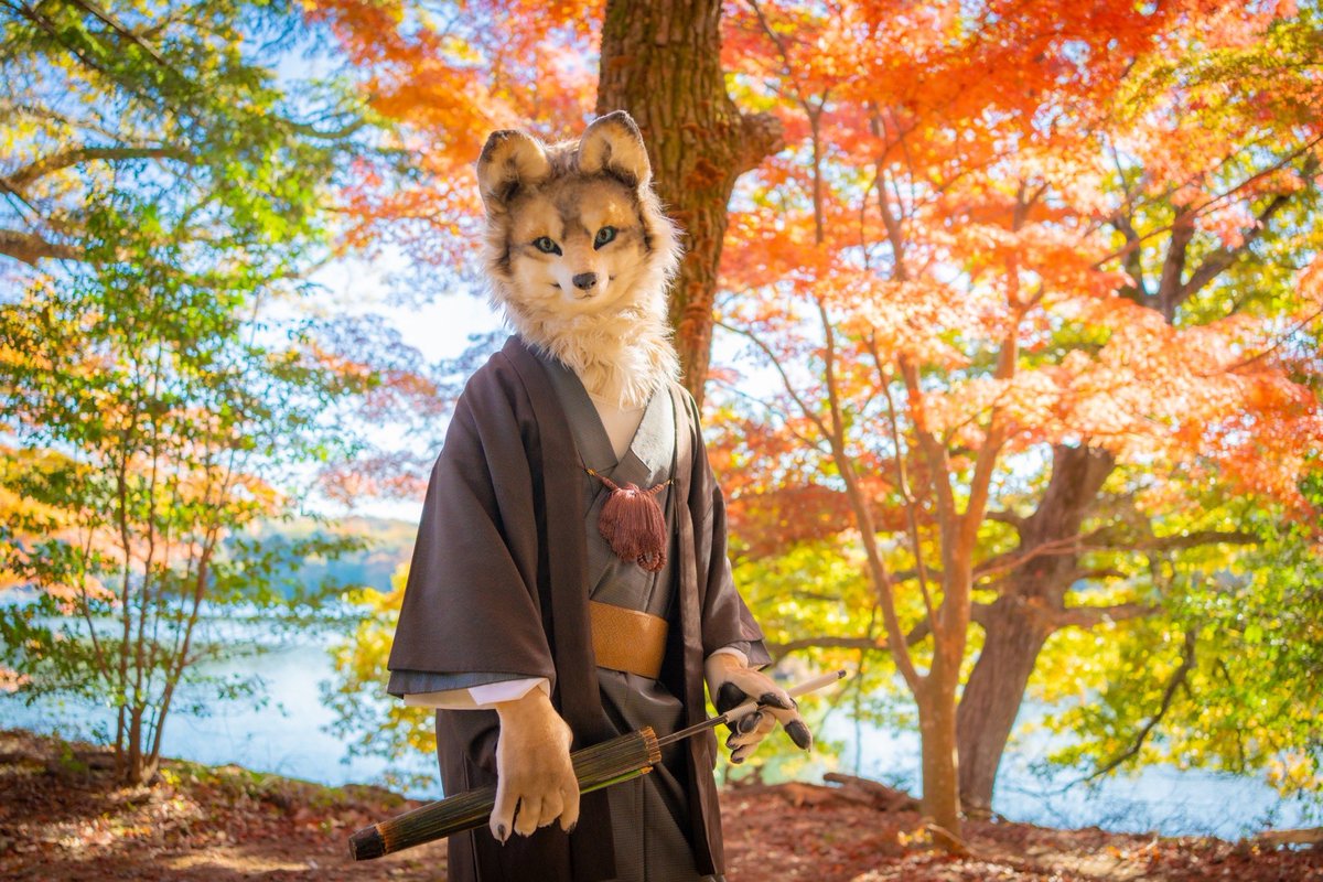 まだギリ紅葉シーズンかも
#FursuitFriday