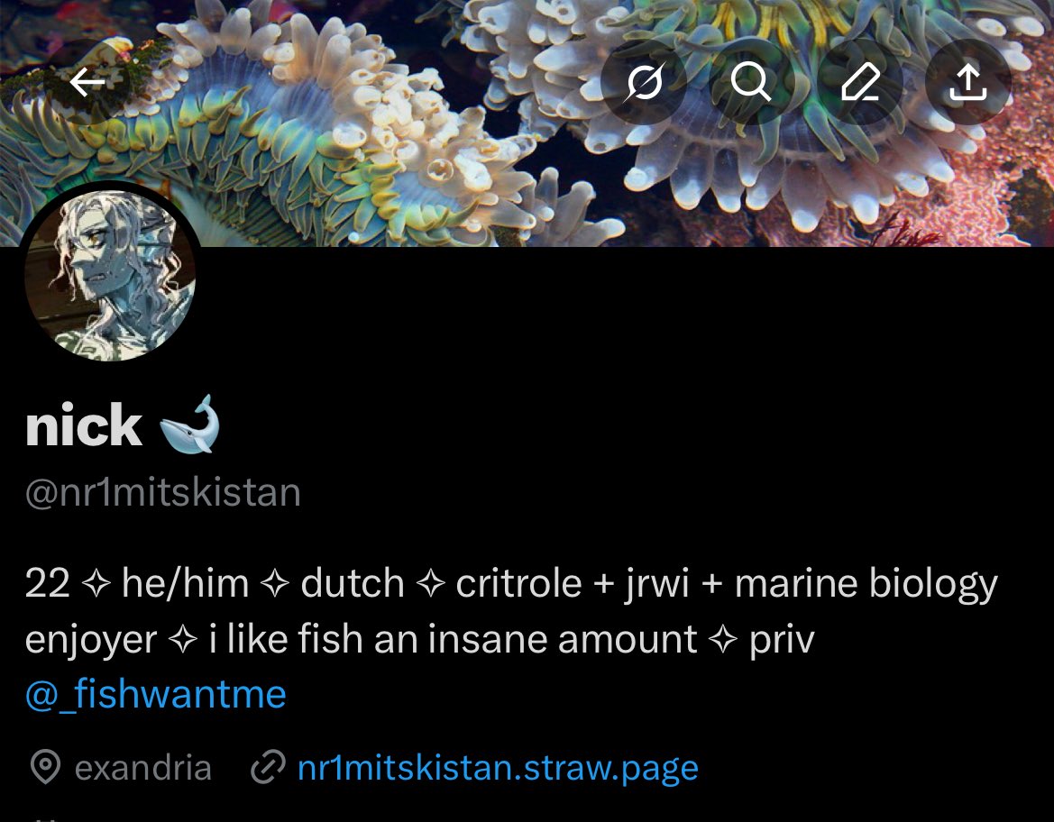 nr1mitskistan's tweet image. back to my old molly layout don’t forget meee 💔💔