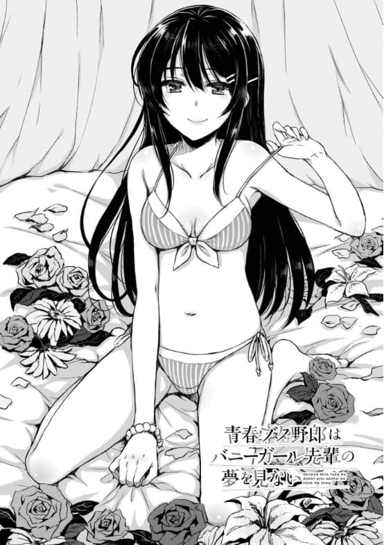 青春ブタ野郎はバニーガール先輩の夢を見ないのエロシーン15