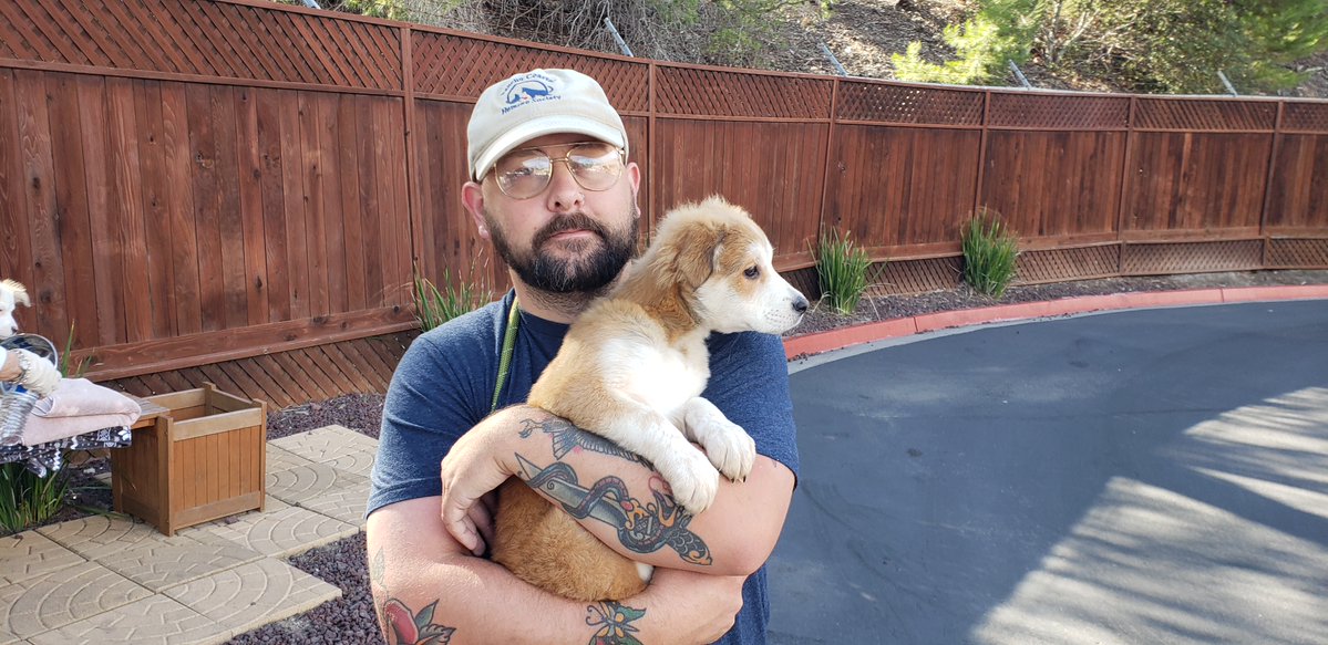 encdogguy's tweet image. Always a treat when Heather Lake joins us. More behind the scenes shots with Adoptable Dogs from Rancho Coastal Humane Society on the FOX 5 San Diego Morning News with Raoul Martinez and Heather Lake. 
Bruno and Daisy available soon. Watch sdpets.org.  #fox5sandiego