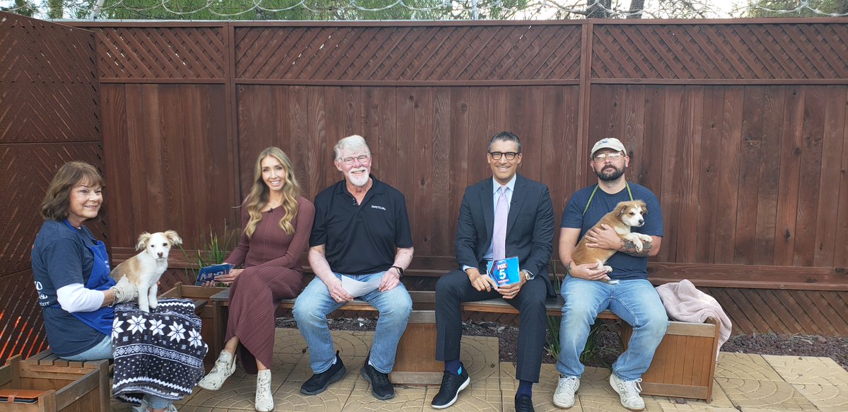 encdogguy's tweet image. Always a treat when Heather Lake joins us. More behind the scenes shots with Adoptable Dogs from Rancho Coastal Humane Society on the FOX 5 San Diego Morning News with Raoul Martinez and Heather Lake. 
Bruno and Daisy available soon. Watch sdpets.org.  #fox5sandiego
