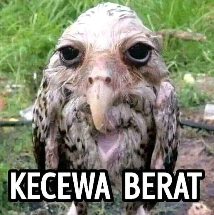 ahaesje's tweet image. I mean...