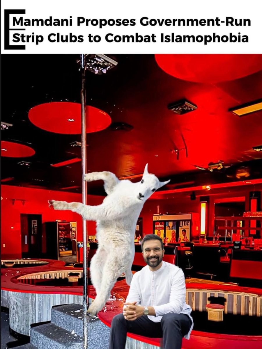 dogspink3's tweet image. They better leave them alone!