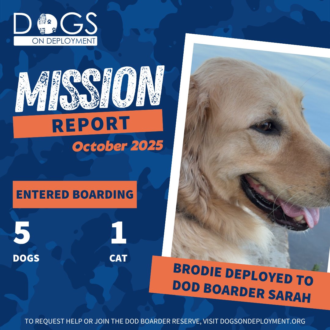 Dogs on Deployment tweet media