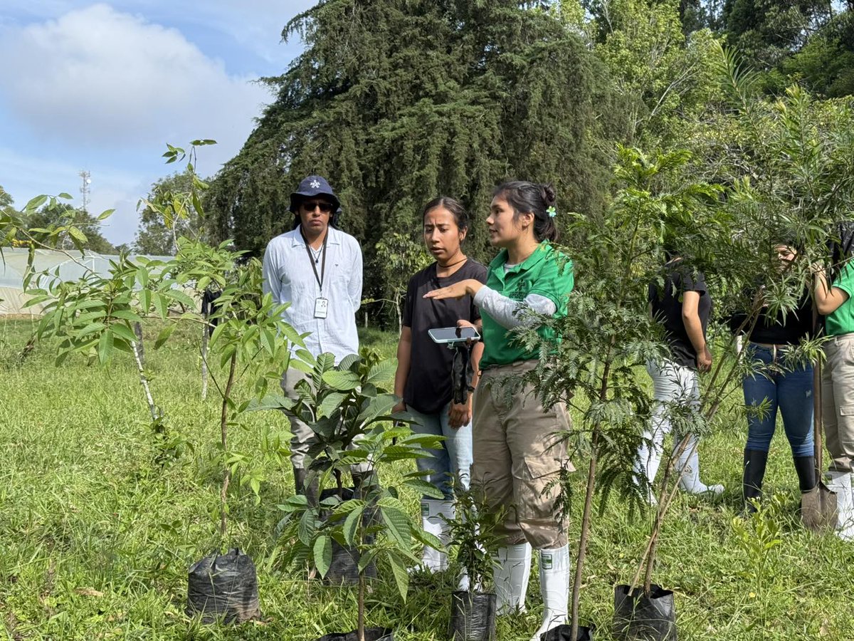 #SENARindeCuentas Se ejecutaron 248 programas de formación en municipios PDET y ZOMAC, impulsando la empleabilidad, el emprendimiento y la reconstrucción del tejido social en territorios históricamente afectados por el conflicto.
#SENACauca #ResultadosQueTransforman