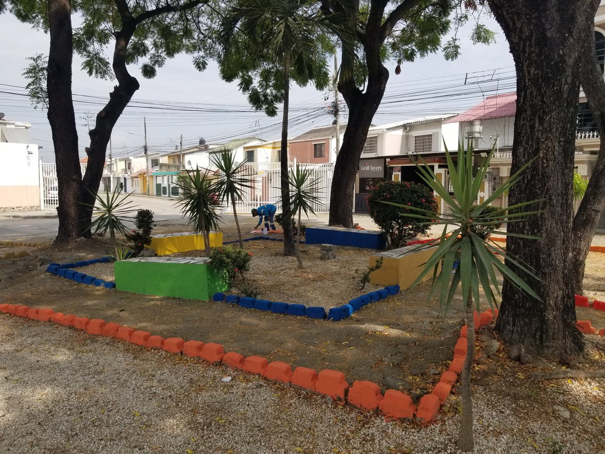 Samanes-5 tweet media