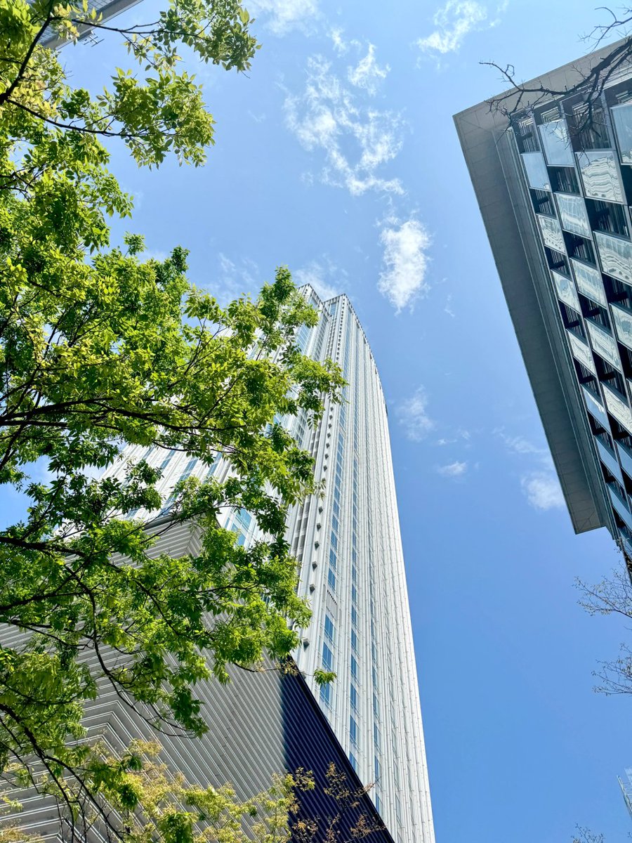 Rayvcallace's tweet image. 久しぶりにこんなにいい天気だね これでアウトドア活動を楽しめるよ 本当に嬉しいな