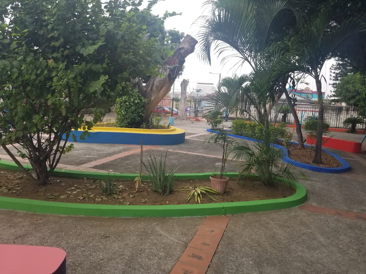 Samanes-5 tweet media