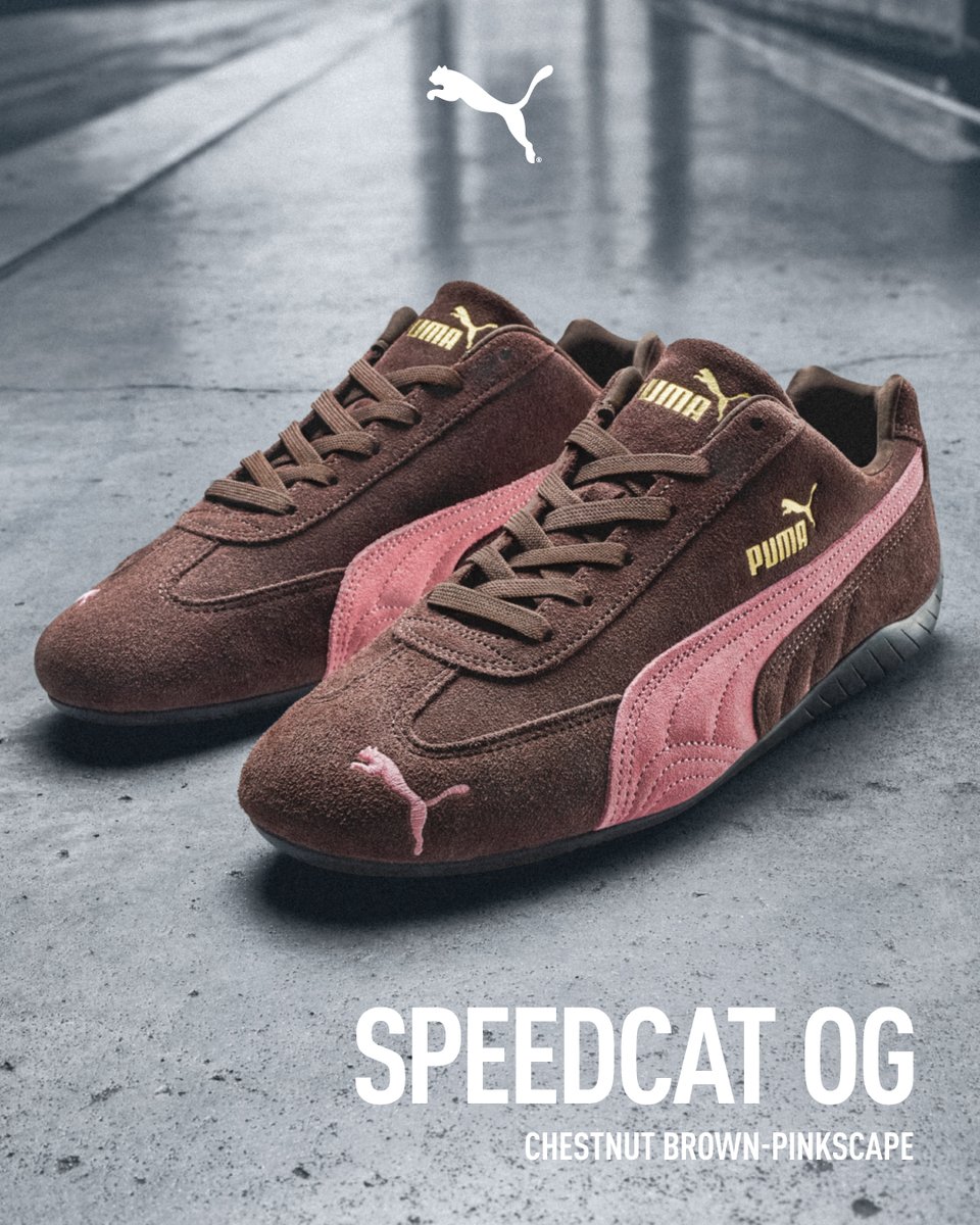 SPEEDCAT OG/LF F1™グランプリのドライバーが着用していた耐火